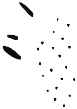 Image of the occurrence